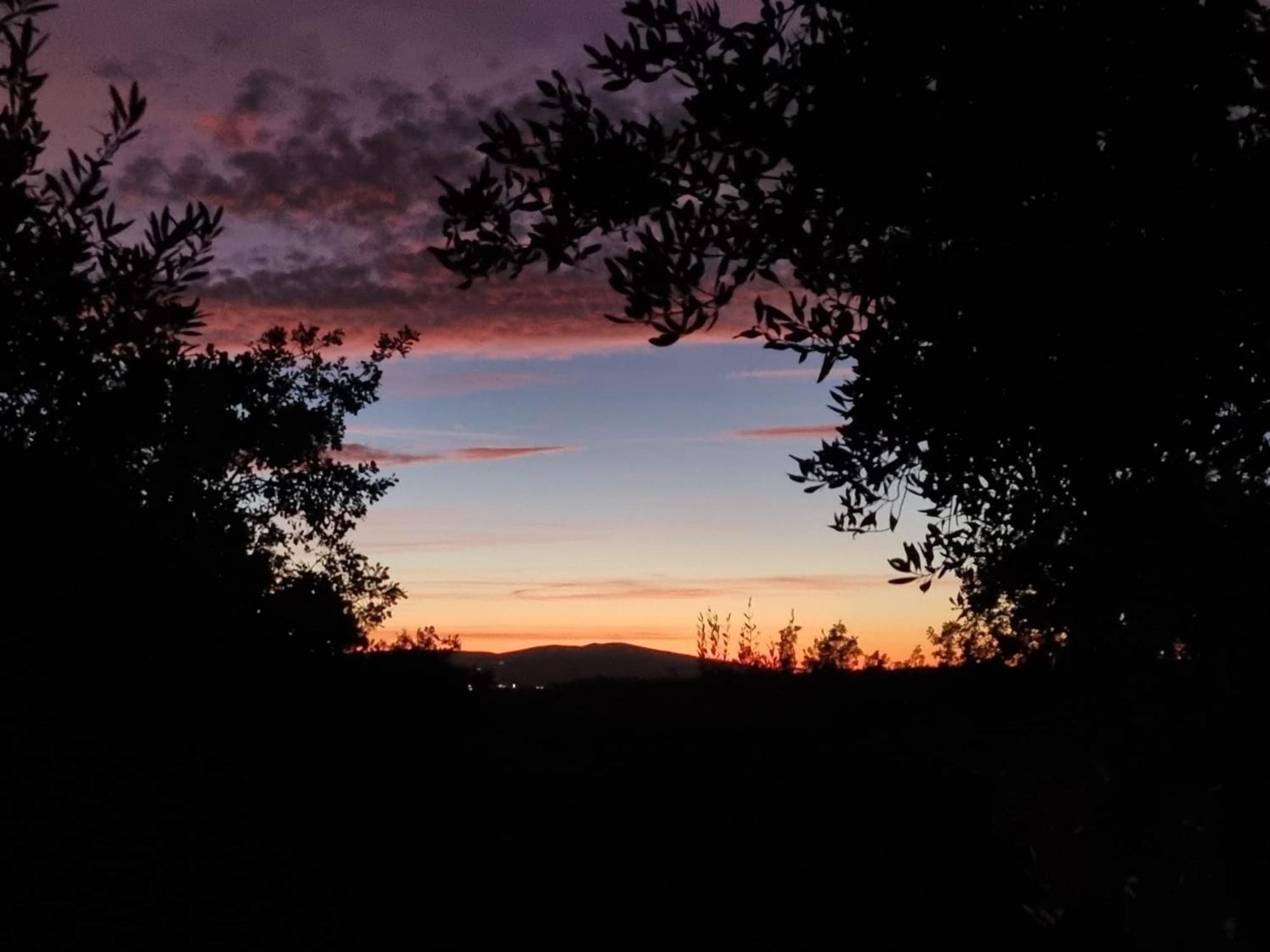 San Sano Dimora Nel Chianti 게스트하우스 외부 사진