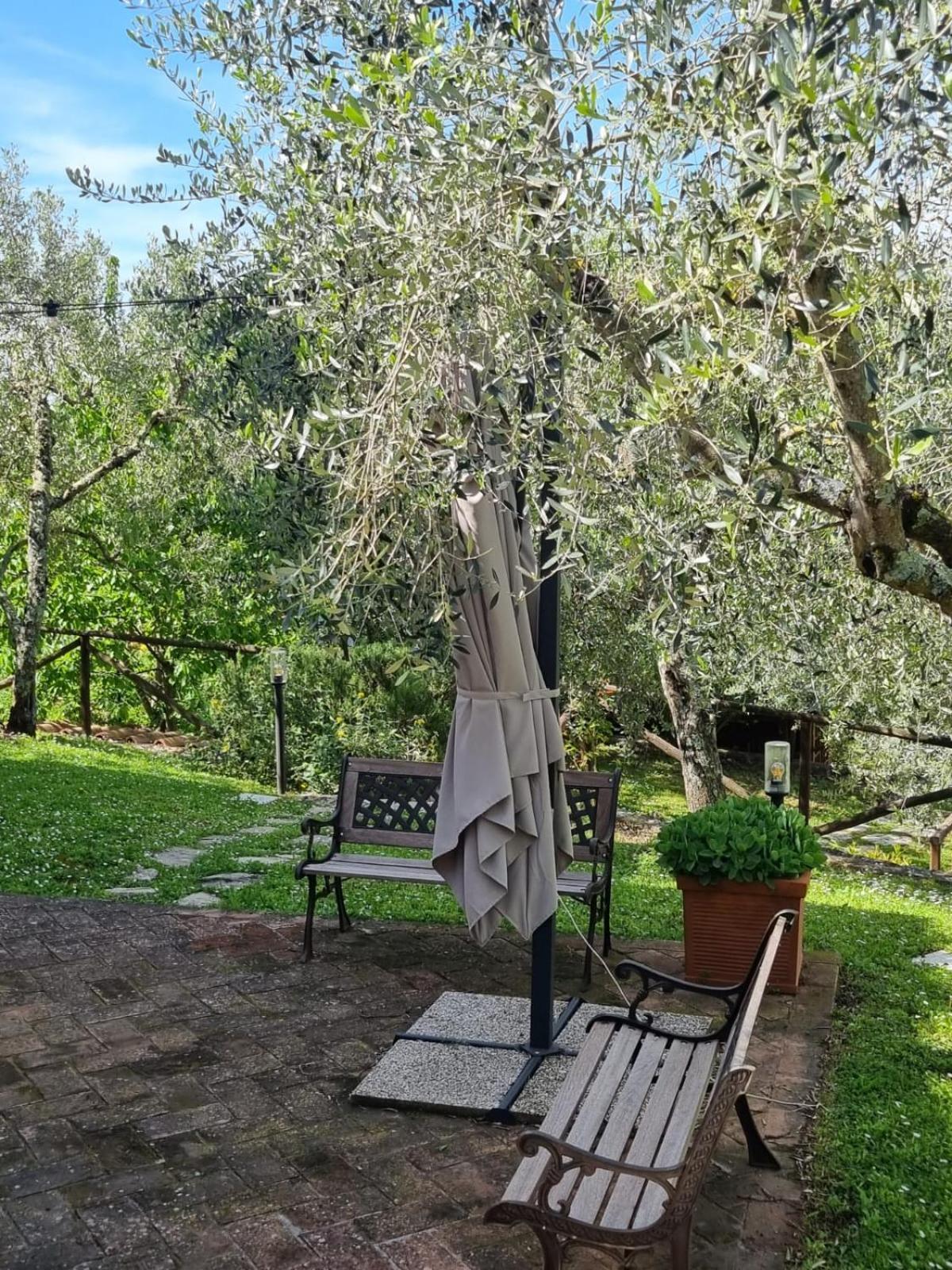 San Sano Dimora Nel Chianti 게스트하우스 외부 사진