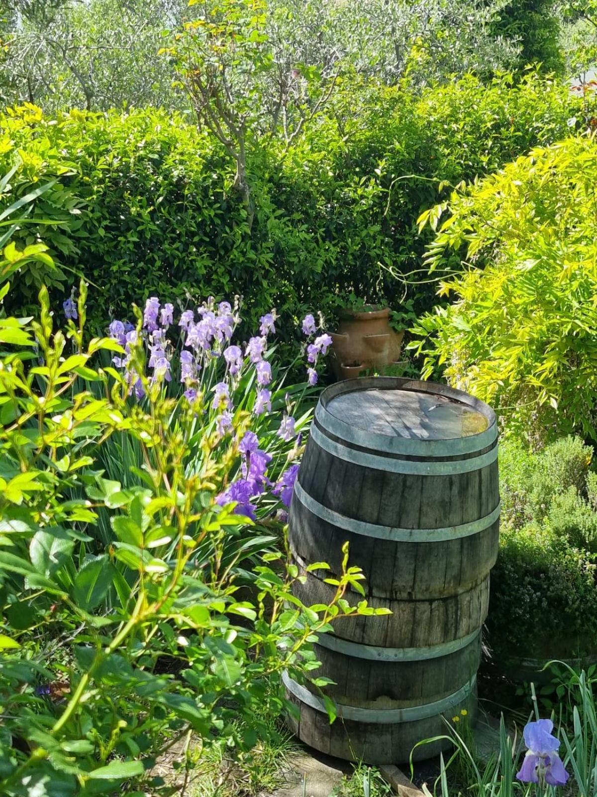 San Sano Dimora Nel Chianti 게스트하우스 외부 사진