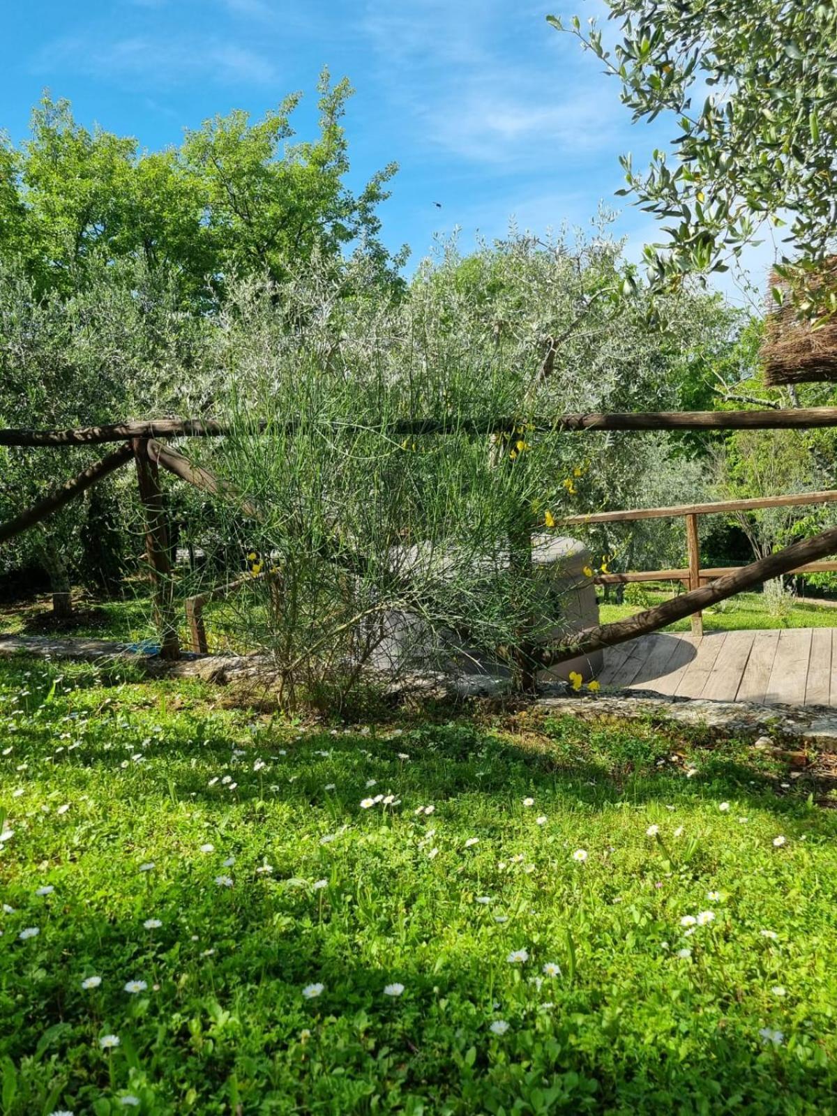 San Sano Dimora Nel Chianti 게스트하우스 외부 사진
