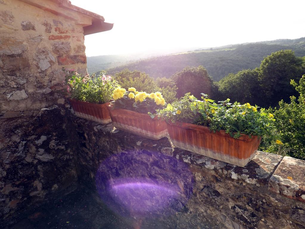 San Sano Dimora Nel Chianti 게스트하우스 외부 사진